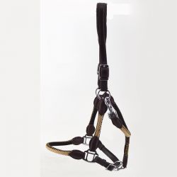 Halter leather and rope