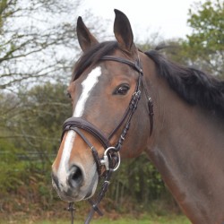 Soft leather snaffle bridle...