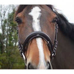 Soft leather snaffle bridle...